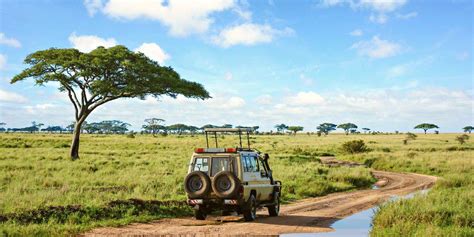 Viaje a Tanzania con safari a Serengeti y Ngorongoro de 8 días