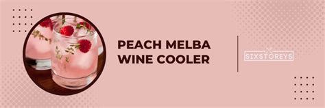 12 Best Wine Cooler Drinks Of 2023 Taste The Chilled Bliss