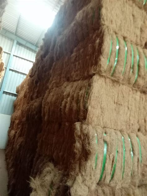 Brown White Coconut Coir Fiber Cm Packaging Size Kg At Rs