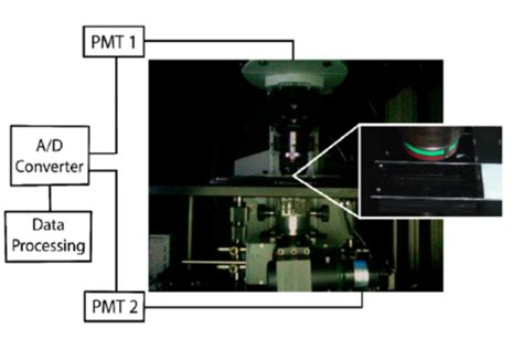 Two Photon Microscope Setup An Image Of The Objective The Stage And