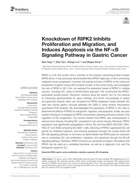 PDF Knockdown Of RIPK2 Inhibits Proliferation And Migration And