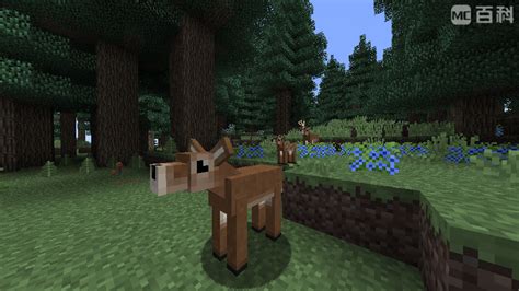 鹿 Deer 熟悉的动物 Familiar Fauna Mc百科最大的minecraft中文mod百科