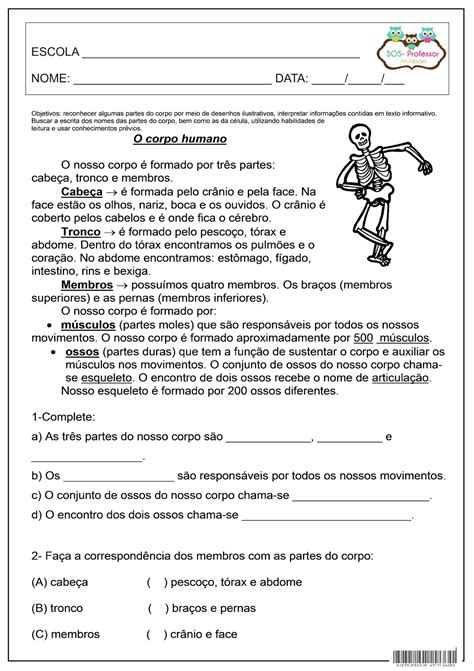 Texto De Educação Física Interpretação E Gabarito 7o Ano