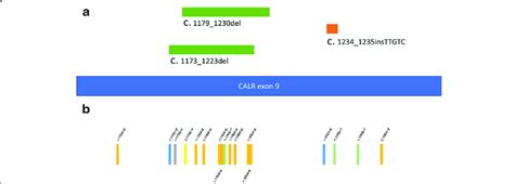 Mutations In Calr Exon 9 A Three Types Of Calr Exon 9 Frame Shifting Download Scientific