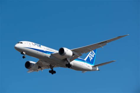 全日空 Boeing 787 8 Dreamliner JA821A 伊丹空港 航空フォト by Astechnoさん 撮影2021年01月09日