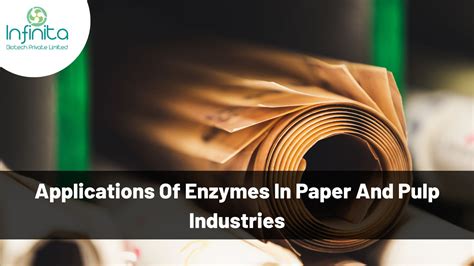 Application Of Enzymes In Pulp And Paper Industry