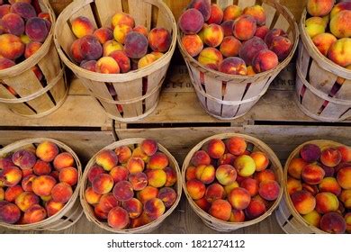 203 Bushel Peaches Images, Stock Photos & Vectors | Shutterstock