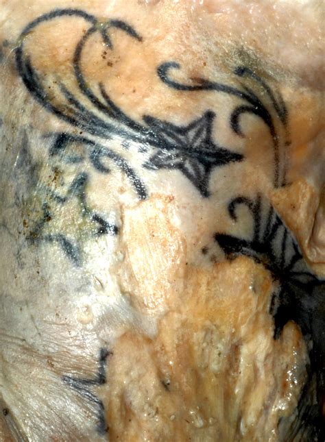 Investigators Seek Information on Body Found Behind Shore Mall | Ocean