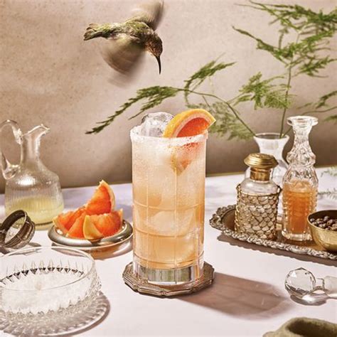 5-Zutaten-Rezept: So einfach gelingt das Sommer-Trendgetränk Vin Tonic