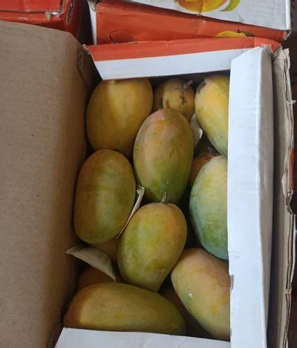 Green Fresh Kesar Mango Carton Packaging Size 10 Kg At Rs 79 Kg In