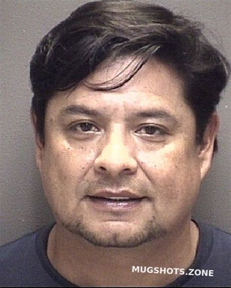 Larios Ignacio Galveston County Mugshots Zone