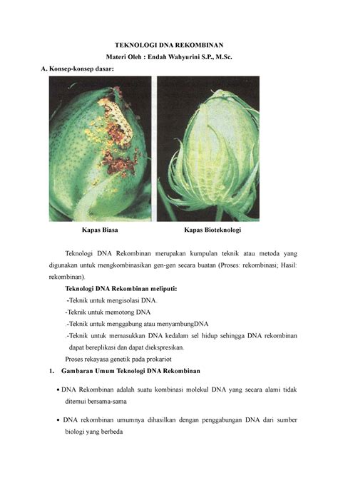 Teknologi Dna Rekombinan Teknologi Dna Rekombinan Materi Oleh Endah Wahyurini S M A