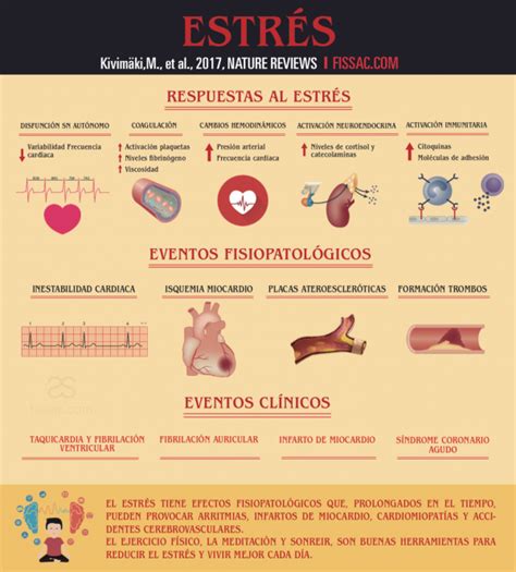 Estrés cardiovascular Fissac