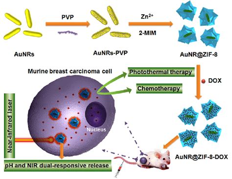 Scheme 1 Strategy For Fabrication Of Aunrzif 8 Core Shell