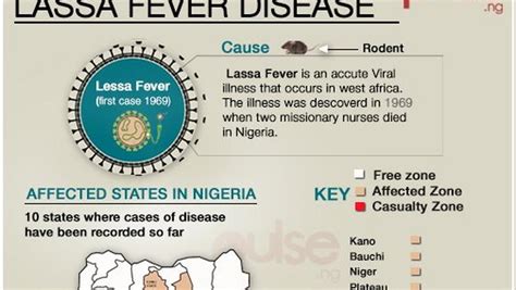 Lassa Fever More Deaths Cases Of Disease Recorded In Nigeria [article] Pulse Nigeria