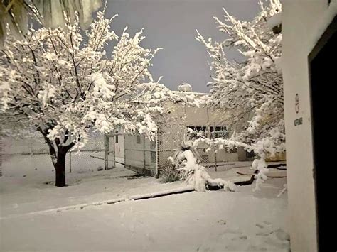 Increíbles Fotos De Las Nevadas En 21 Municipios De Chihuahua La