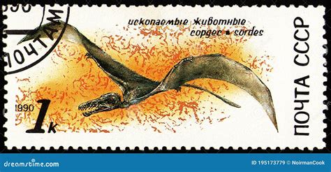 Small Pterosaur Sordes Prehistoric Fauna Circa 1990 Editorial Stock