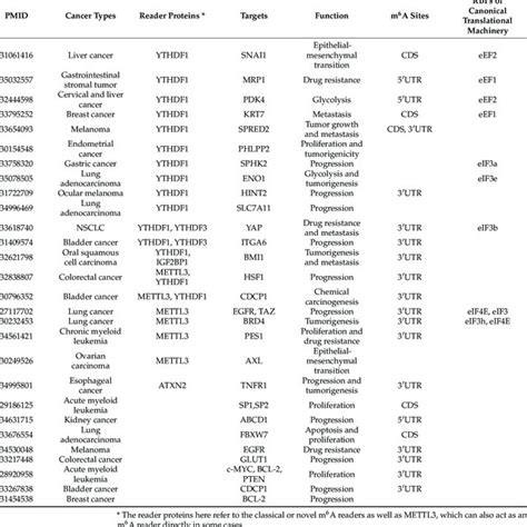 Mechanisms Of Mettl Involved In Translation Regulation Through M A