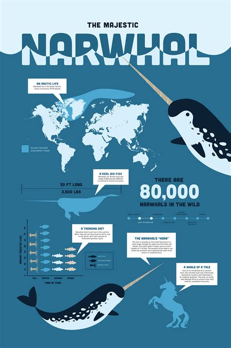 Arctic Ocean Animals Facts