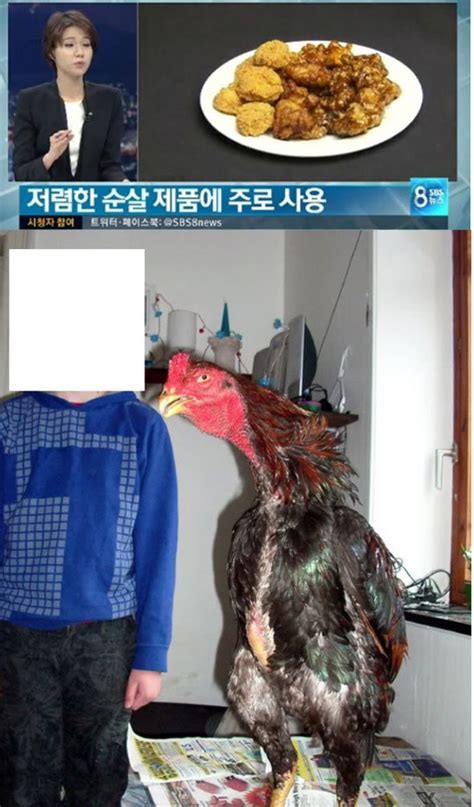 브라질 닭 크기에 경악국내서 순살치킨 장악｜스포츠동아