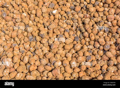 Texture Of Expanded Clay Aggregate Gravel Orange Clay Material For