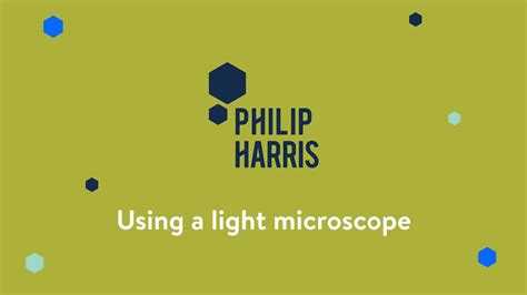 Gcse Biology Required Practical Using A Light Microscope Philip