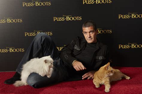 Antonio Banderas Puss In Boots