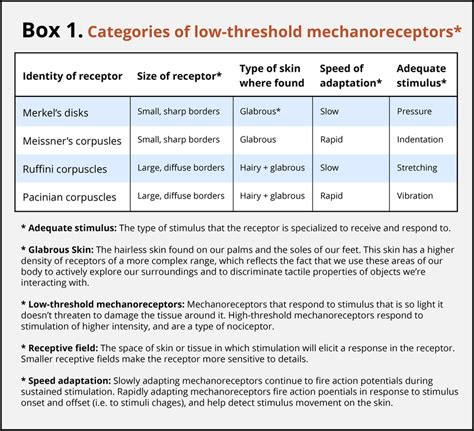 Sense Of Touch Receptors