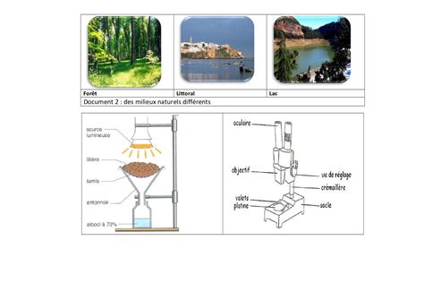 Observation d un milieu naturel Fiche pédagogique pour 1AC