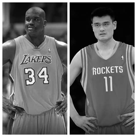 Shaquille O'Neal vs Yao Ming Stats Comparison | Career All Time Stats