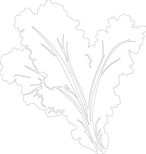 lettuce outline silhouette 38494461 Vector Art at Vecteezy