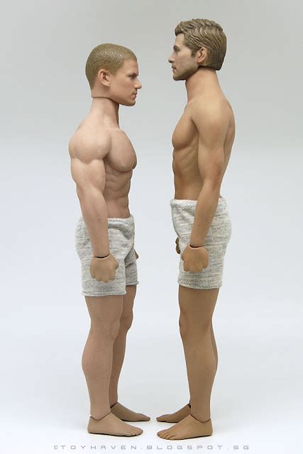 Toyhaven Comparison Pictures Of Phicen 1 6th Scale Super Flexible Male