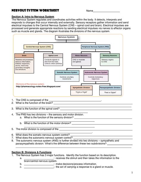 Nervous System Worksheets Nervous System Worksheet Name Section A Intro To