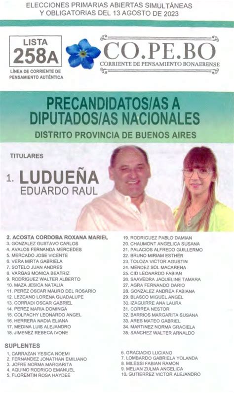 Las Boletas De Los Candidatos A Diputados En Provincia De Buenos Aires