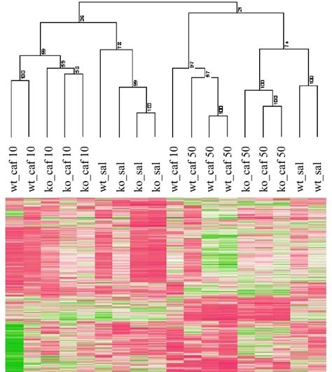 Unsupervised Hierarchical Clustering Analysis Of Striatal Gene Download Scientific Diagram