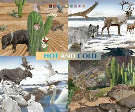 Animals in hot and cold habitats (2003 edition) | Open Library