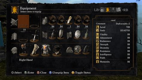 Just finished Dark Souls 1 for the first time, how does my build look?? : r/shittydarksouls