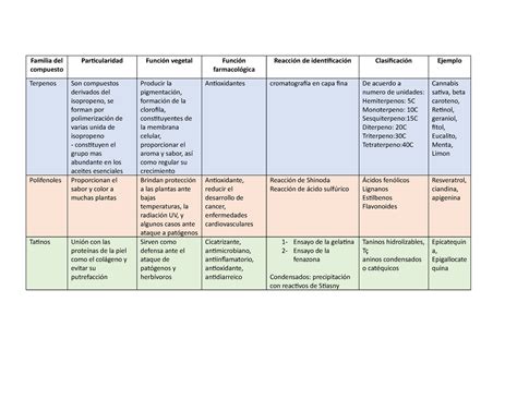 Farma Carrera De Medicina Humana Morfofisiolog A Del Aparato