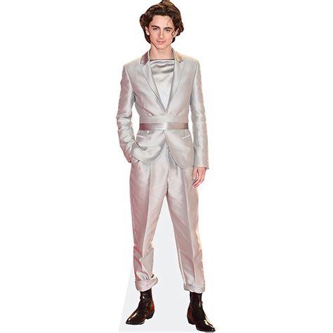 Timothee Chalamet Silver Suit Cardboard Cutout Life Size Or Mini