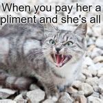 Hissing Cat Meme Generator - Imgflip