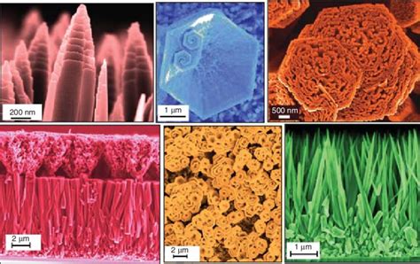 Scanning Electron Microscopy Images False Color Of Different