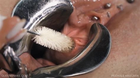 Php Jeby Queensnake Queensect BDSM Porn XHamster