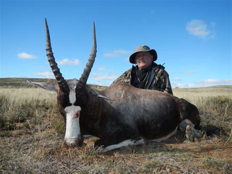 South Africa Trophy Gallery Safari Trails International Hunting