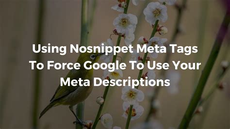 How To Optimize Your Meta Descriptions With The Nosnippet Tag YouTube