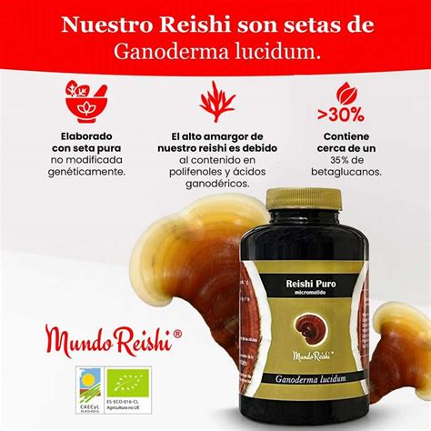 Reishi Puro Micromolido Ecol Gico G De Polvo Mundoreishi Salud