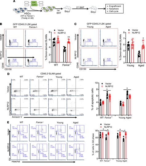 Constitutive Overexpression Of Nlrp Improves The Long Term