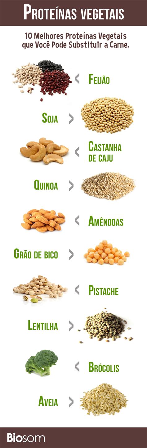 Proteinas Vegetaispng 1500×4553 Píxeles Proteínas Vegetais