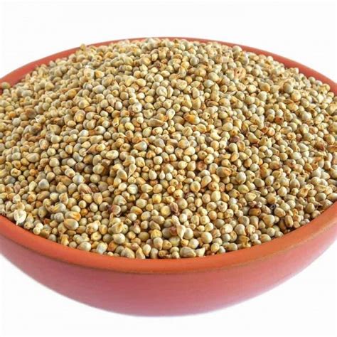 Buy Naati Pearl Millet Sajje Sajjalu Kambu Bajra Kambam