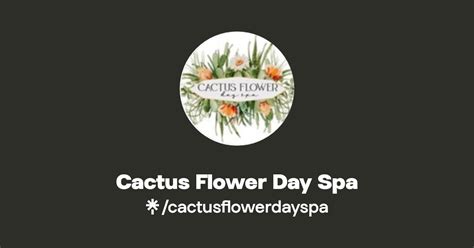 Cactus Flower Day Spa Instagram Linktree