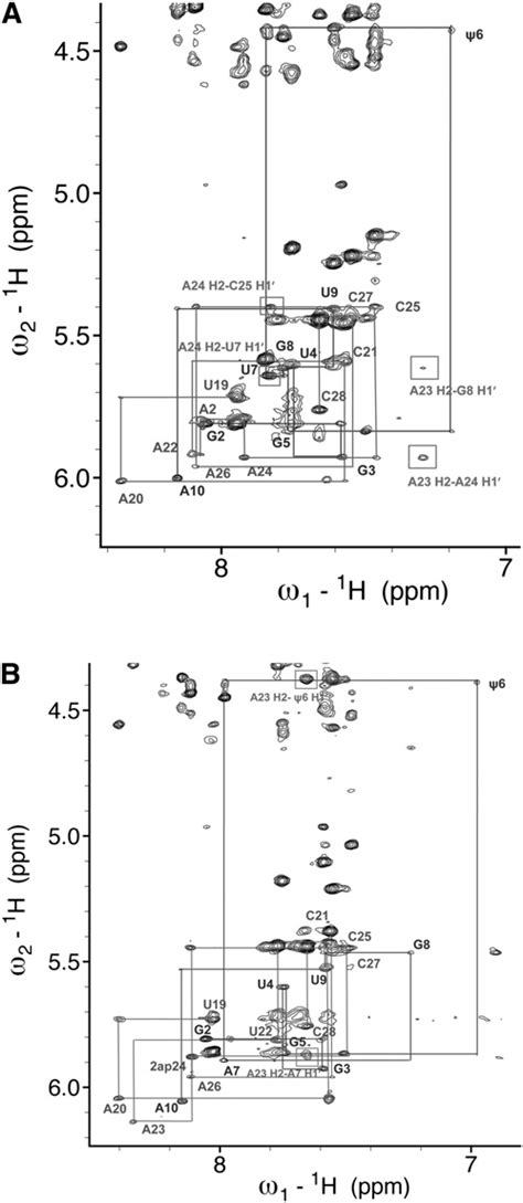 A Nmr Spectrum Of The Aromatic Anomeric Base H H Region Of A